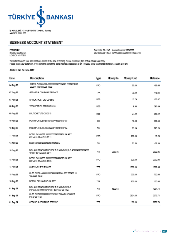 Download Turkish Bankasi enterprise statement Word and PDF template Photoshop template